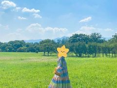 -福建鲤鱼洲酒店