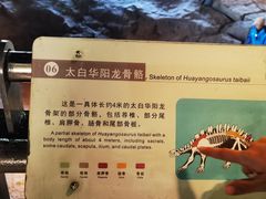 -自贡恐龙博物馆