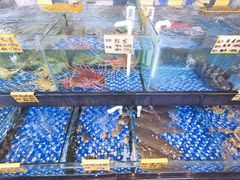 -大门水乡·顺德菜