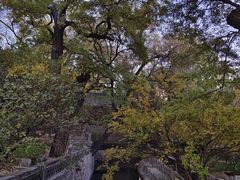-晋祠公园