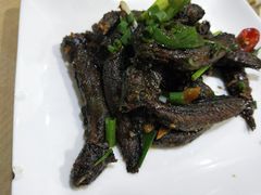 -富来美食
