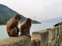 -白帝城·瞿塘峡景区