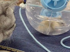 -伽利略剧本探案馆(国贸店)