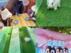 -华夏文旅西安度假区