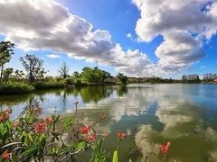 -上海长兴岛郊野公园