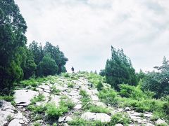 -佛慧山