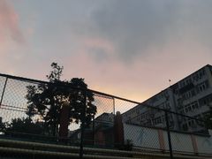 -龍歌自助小火锅(市南金茂湾店)