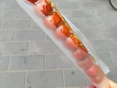 -和禄德冰糖葫芦
