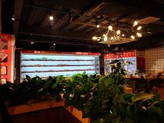 大堂-钢管厂五区小郡肝火锅串串香(清河店)