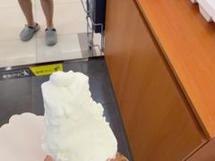 -野人先生Gelato(上海长宁龙之梦店)