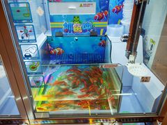 -RUXU入续糖水铺与包(卓悦中心店)