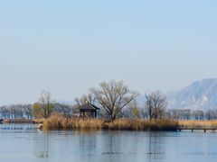 -野鸭湖国家湿地公园