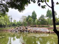-邓小平故里