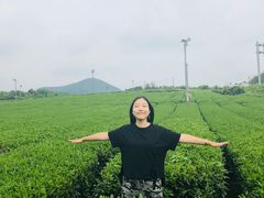 -雪绿茶博物馆