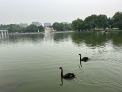 -长春世界雕塑园