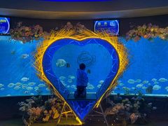 -合肥海洋世界