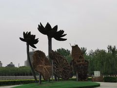 -莲花池公园