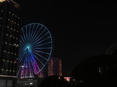 -星城之眼摩天轮