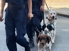 -深圳湾万象城(南山店)