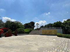 -黄埔油麻山森林公园