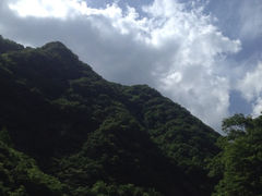 iphone_upload_pic-牛背梁国家森林公园