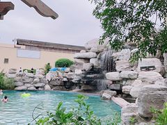 -仁爱团泊湖温泉中心
