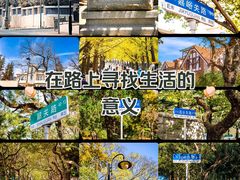 -八大关景区