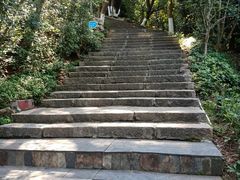 -仙岳公园