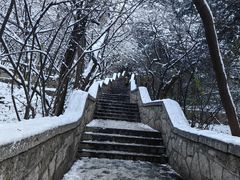 -千佛山风景名胜区
