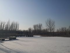 -东郊湿地公园
