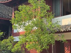 -吴山景区
