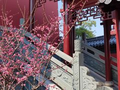 -上海财神庙
