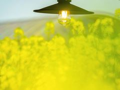 -中国天府农业博览园