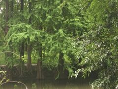 -华南国家植物园-售票处