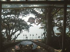 -卷心菜和避孕套餐厅(Pattaya)