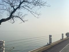 -贡湖湾湿地公园