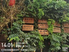 -香满楼(临安路店)