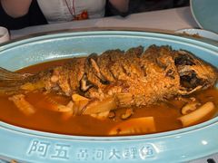 -阿五黄河大鲤鱼(英协路店)