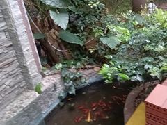 -月亮眼花园餐厅书吧酒吧