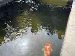 -西安市广仁寺