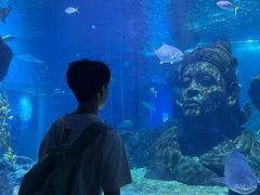 -暹罗海洋世界