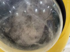 -天宠宠物医院24小时·急重症诊疗中心·全科·腔镜特色(和平分院)