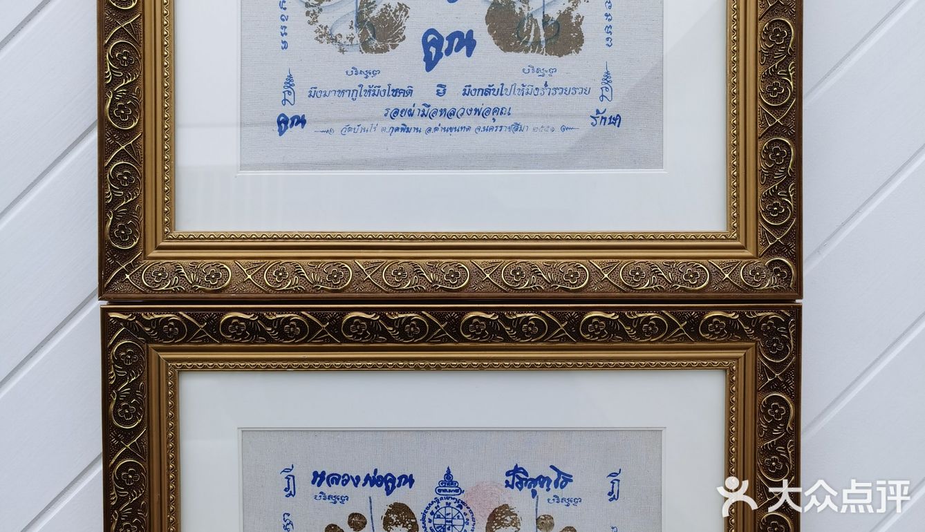 章鱼妹开的店 河豚🐡鱼馄饨 鲜美可口