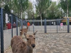 -长白岛森林公园