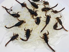 -泰丰楼(前门西大街店)