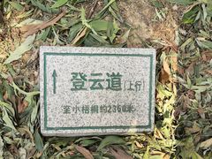 -梧桐山风景名胜区