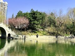 -团结湖公园