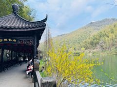 -紫藤园·天目湖大鱼头(南山竹海店)