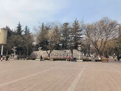 -金城公园