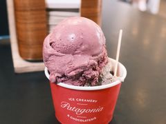 -Patagonia Chocolates(皇后镇店)